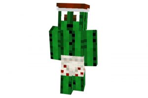 xd1003 (Cactus) Skin | Minecraft Mob Skins
