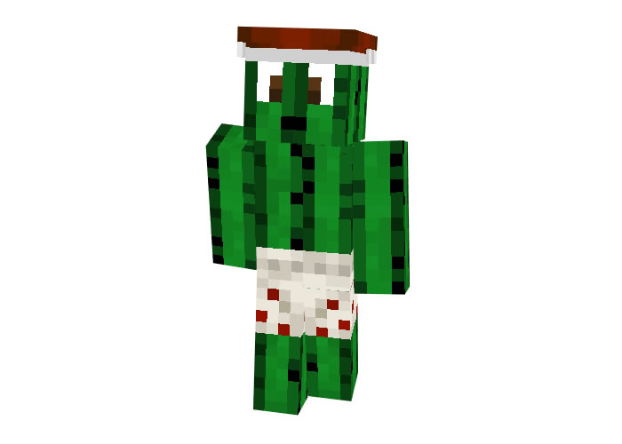 xd1003 (Cactus) Skin | Minecraft Mob Skins