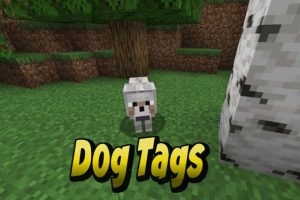 DogTags Mod for Minecraft