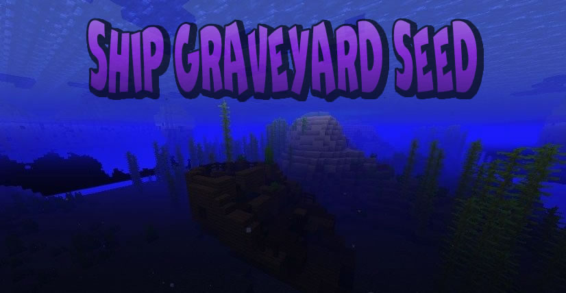Ship Graveyard Seed for Minecraft 1.15.2