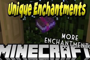 Unique Enchantments Mod