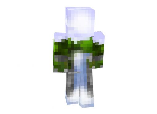 Waterfall Skin for Minecraft