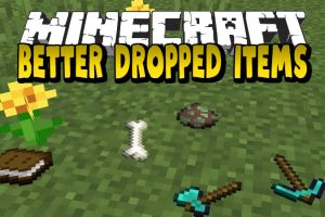 Better Dropped Items Mod