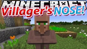 Villager's Nose Mod for Minecraft 1.14.4/1.7.10 | MinecraftGames.co.uk