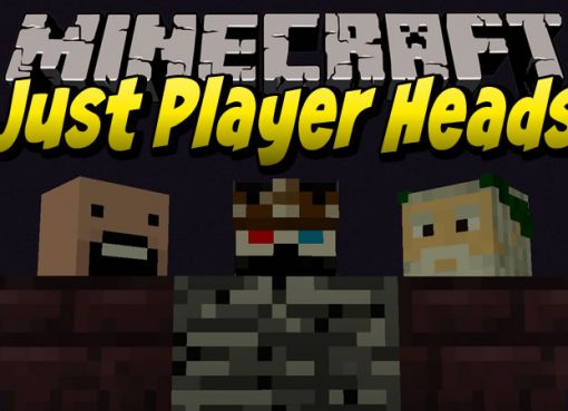 Just Player Heads Mod for Minecraft