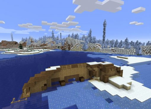 Shipwreck on the Iceberg Seed for Minecraft