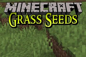 Grass Seeds Mod for Minecraft