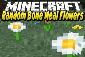 Random Bone Meal Flowers Mod for Minecraft