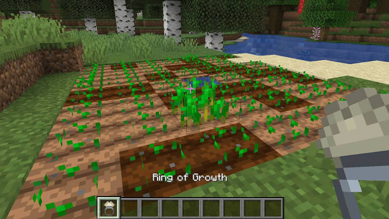 Ring of Growth Mod Screenshot 2