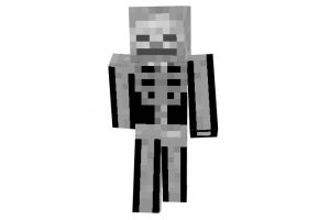 Alebibo29 (Skeleton) Skin for Minecraft