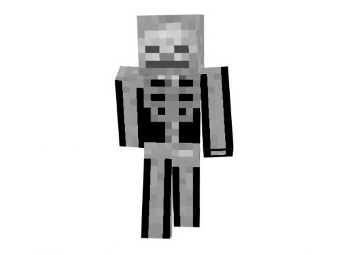 Alebibo29 (Skeleton) Skin for Minecraft