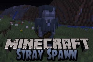 Stray Spawn Mod for Minecraft