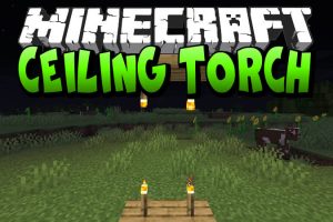 Ceiling Torch Mod for Minecraft