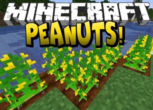 Peanuts Mod for Minecraft