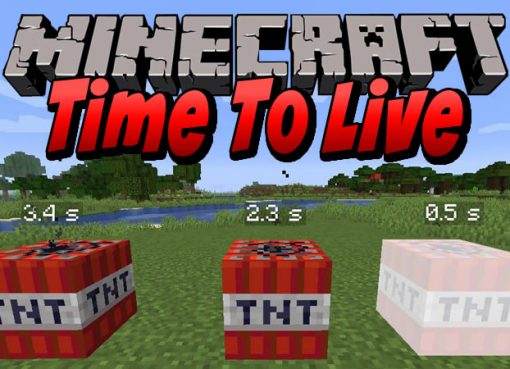 Time To Live Mod for Minecraft