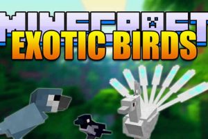 Exotic Birds mod for Minecraft