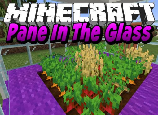 Pane In The Glass Mod for Minecraft