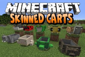 Skinned Carts Mod for Minecraft