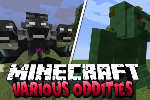 Various Oddities Mod for Minecraft