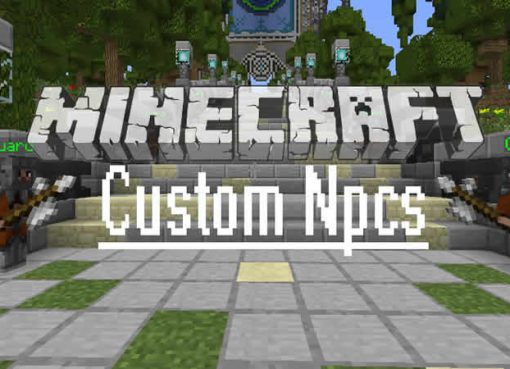 Custom NPCs Mod for Minecraft
