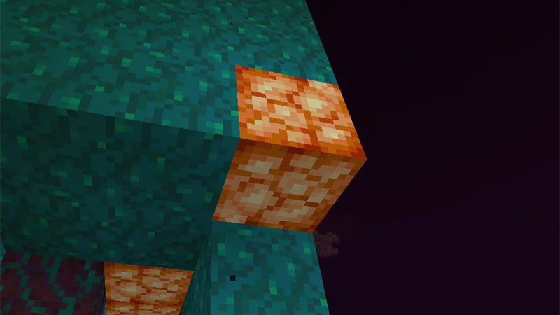 Minecraft 1.16.5 Screenshot 4