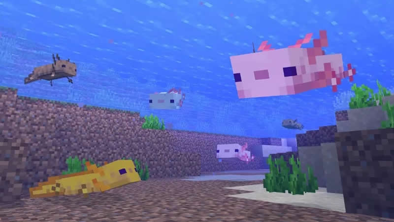 Minecraft 1.17.1 Axolotl