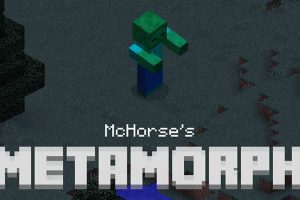 Metamorph Mod for Minecraft