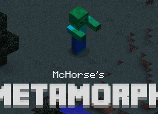 Metamorph Mod for Minecraft