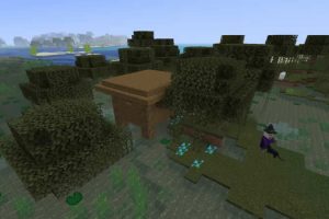 Witch's Hut and Unusual Village Seed for Minecraft