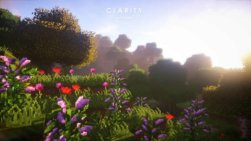 Clarity Resource Pack Screenshot