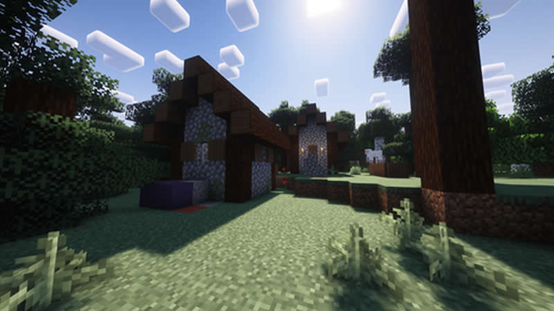 Ruins Under The Villager's House Seed for Minecraft