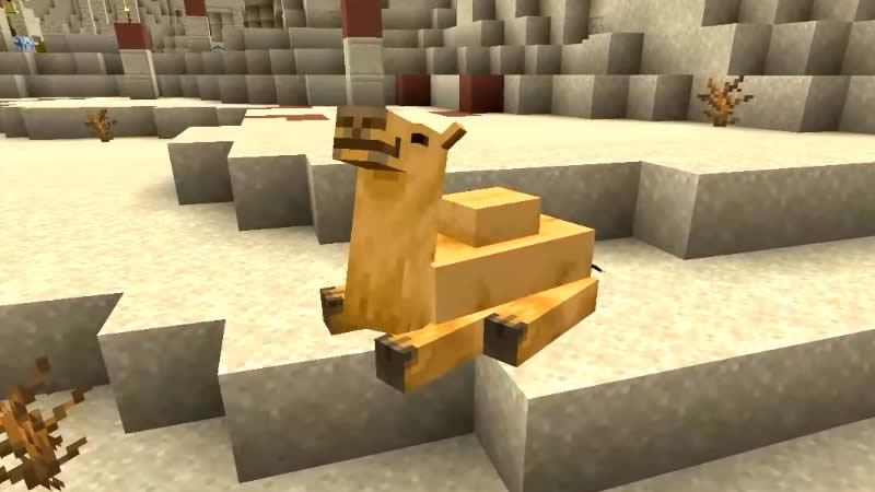 Camel Seed for Minecraft