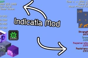 Indicatia Mod for Minecraft